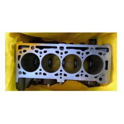 Motor Bloğu Renault Clio Megane Renault 19 110108138R Marka Gaysan